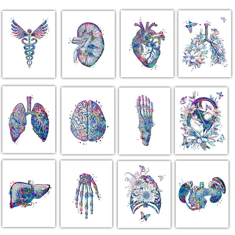 Medical Lab Pictures - ملصق طبي تشريحي، لوحة فنية جدارية